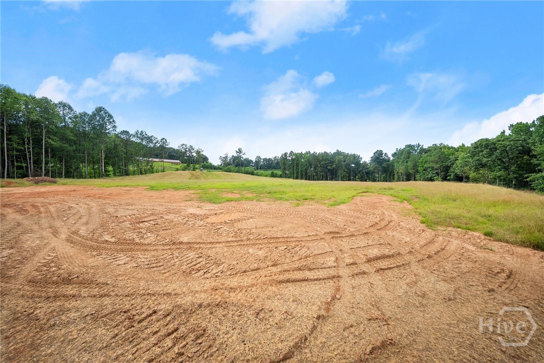 2811 Athens Highway Property Photo 36