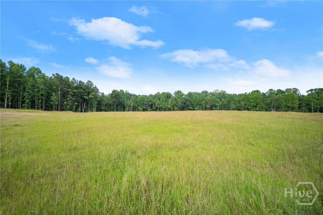 2811 Athens Highway Property Photo 37