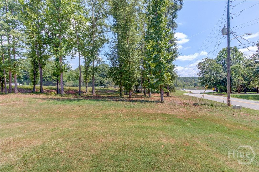 731 Peachtree Road Property Photo 52