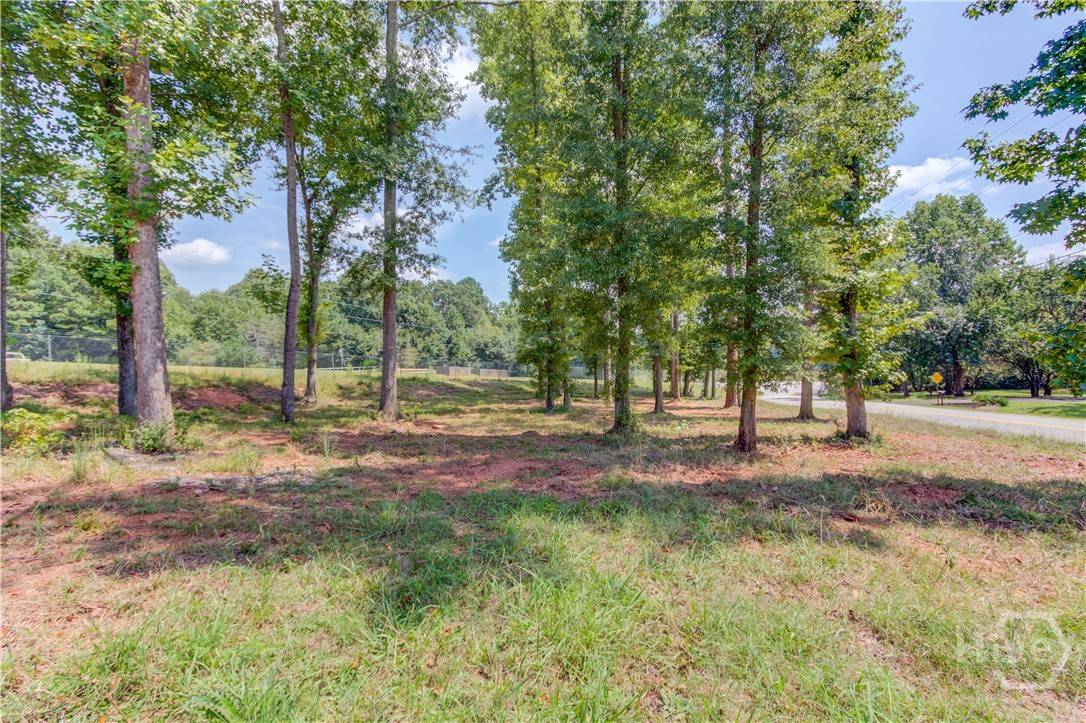 731 Peachtree Road Property Photo 53