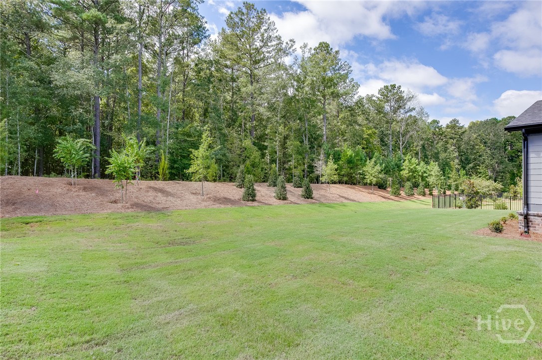 321 Lake Vista Drive Property Photo 57
