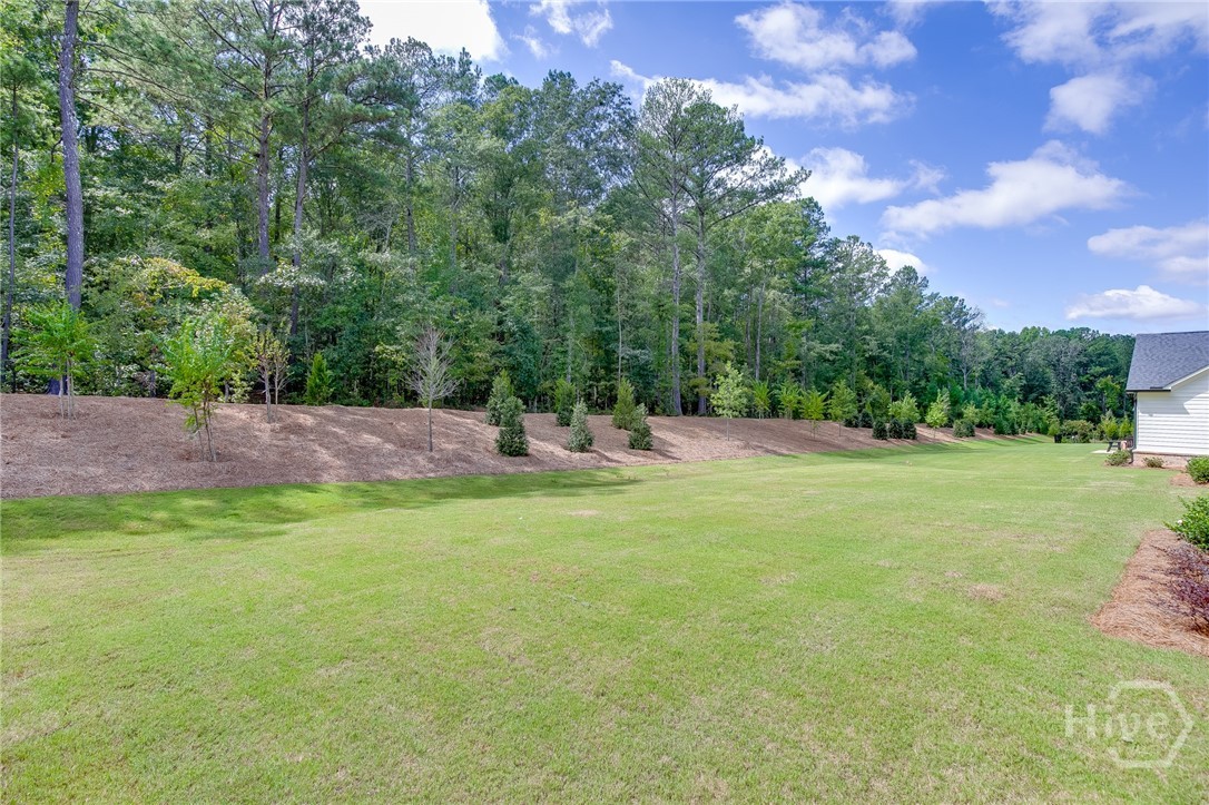 357 Lake Vista Drive Property Photo 42