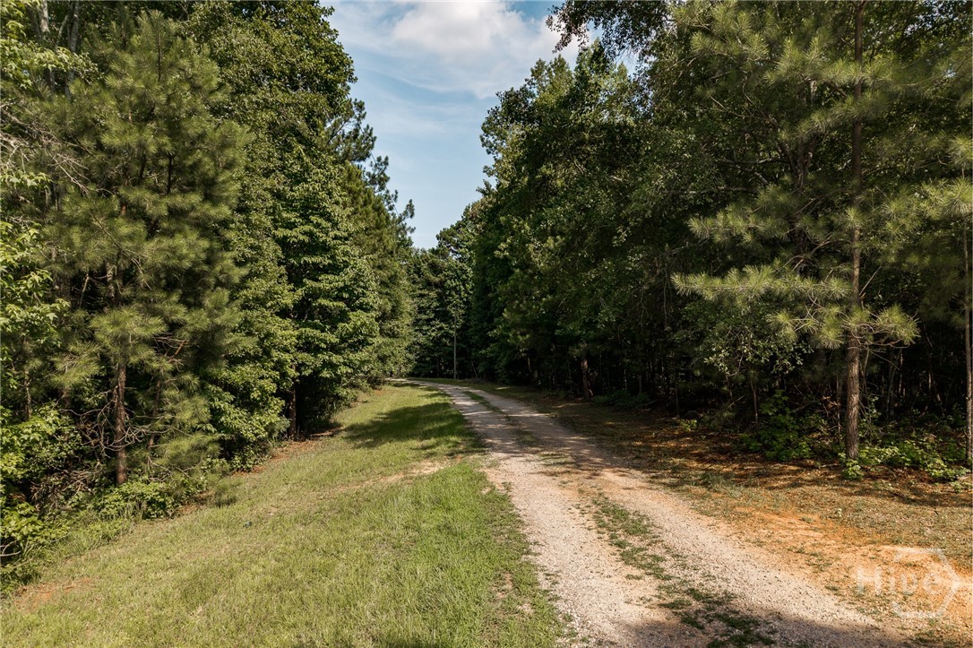 930 James Holcomb Road Property Photo 51