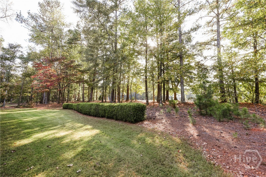 1410 Lane Creek Drive Property Photo 46