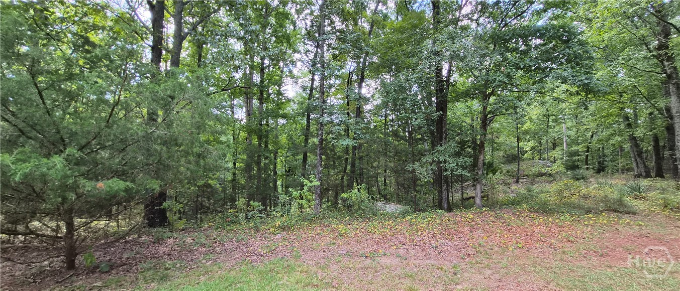 1753 Stephenson Road Property Photo 60