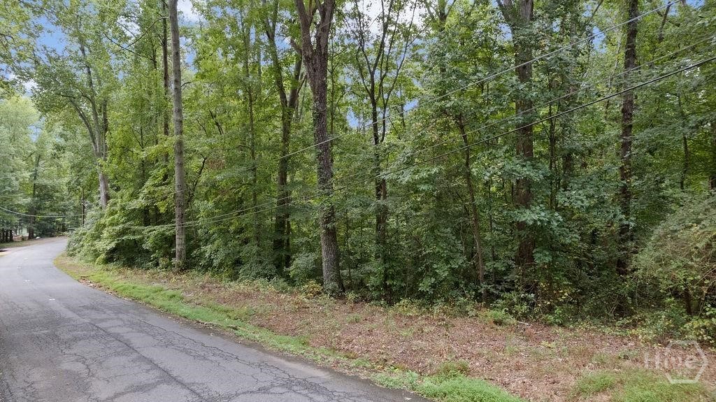 174 Wheeler Martin Drive Property Photo 11