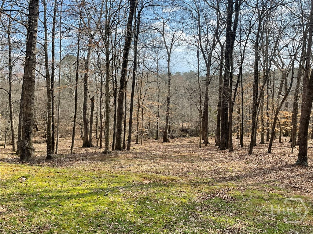 1171 River Run Property Photo 17