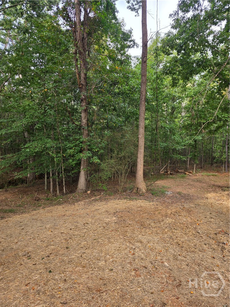 5025 Smokey Road Property Photo 19