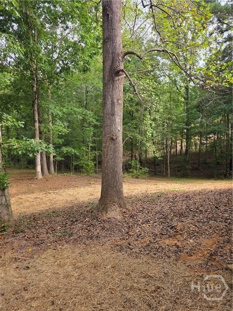 5025 Smokey Road Property Photo 23