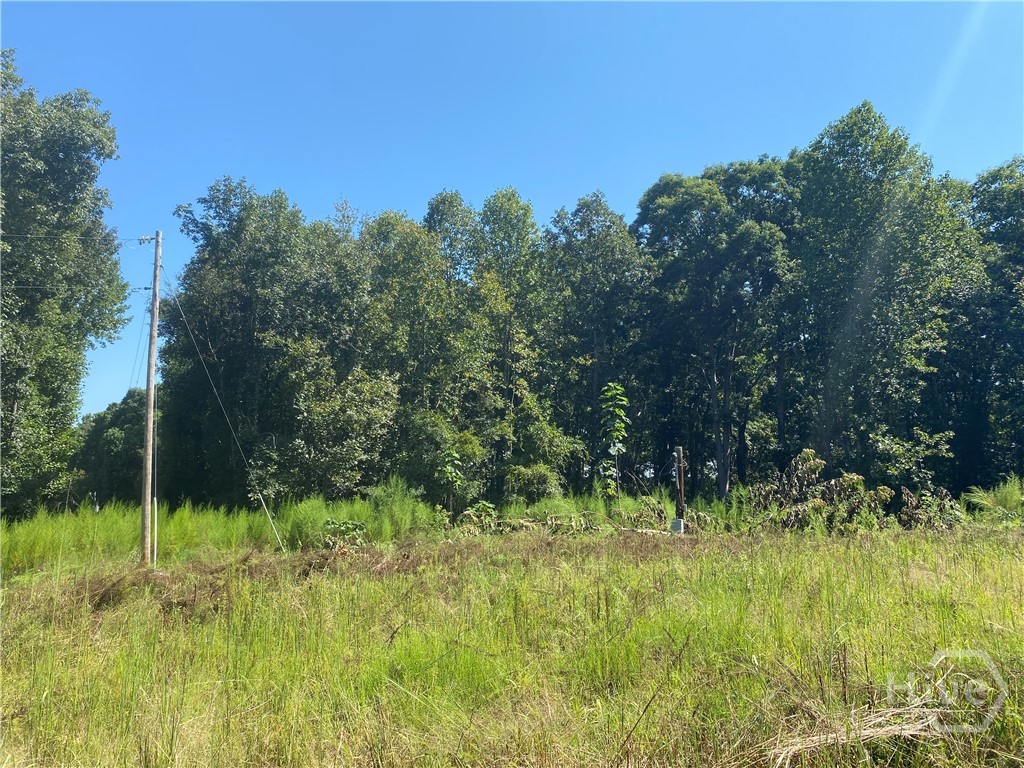 1028 Oak Grove Road Property Photo 4