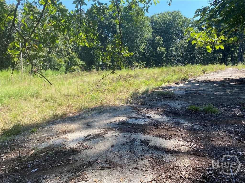 1028 Oak Grove Road Property Photo 5
