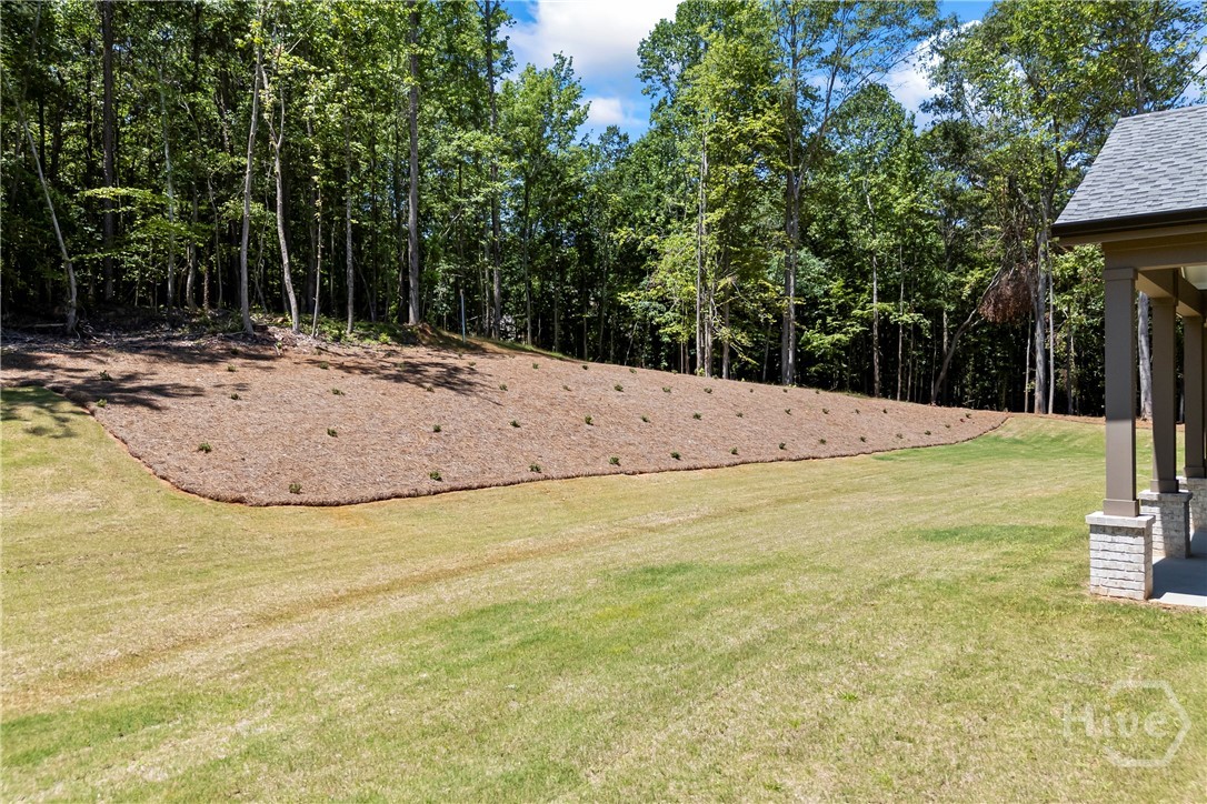 205 Chariot Court Property Photo 66