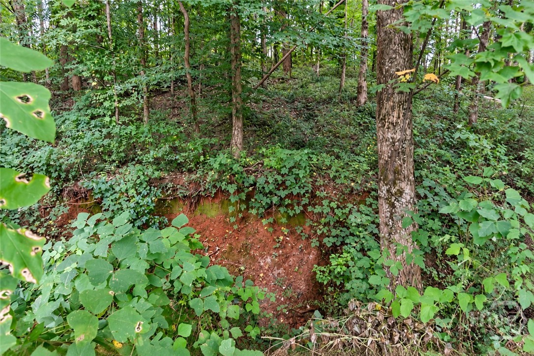4062 Crabapple Drive Property Photo 26