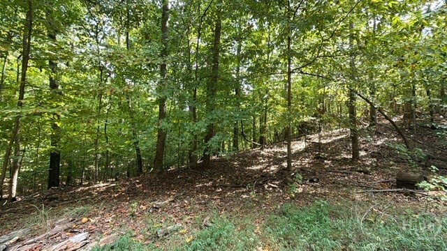 Lot 1643 Cranberry Lane Property Photo 4