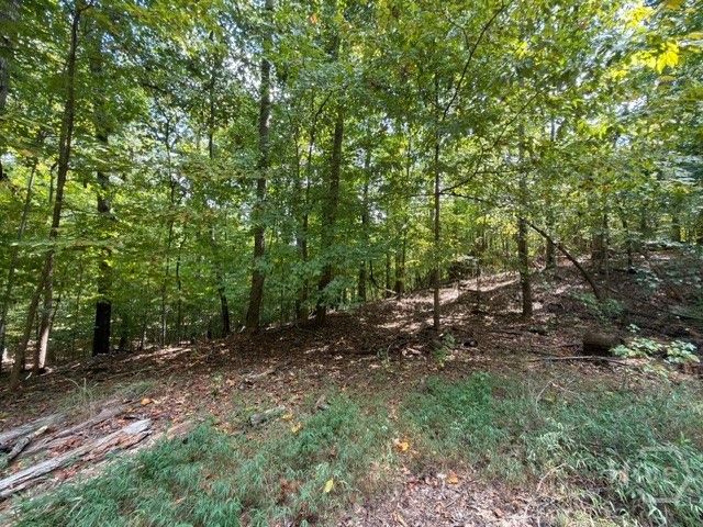 Lot 1643 Cranberry Lane Property Photo 5