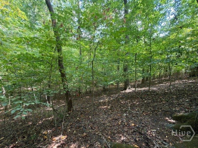 Lot 1643 Cranberry Lane Property Photo 6
