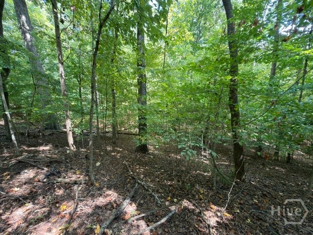 Lot 1643 Cranberry Lane Property Photo 7