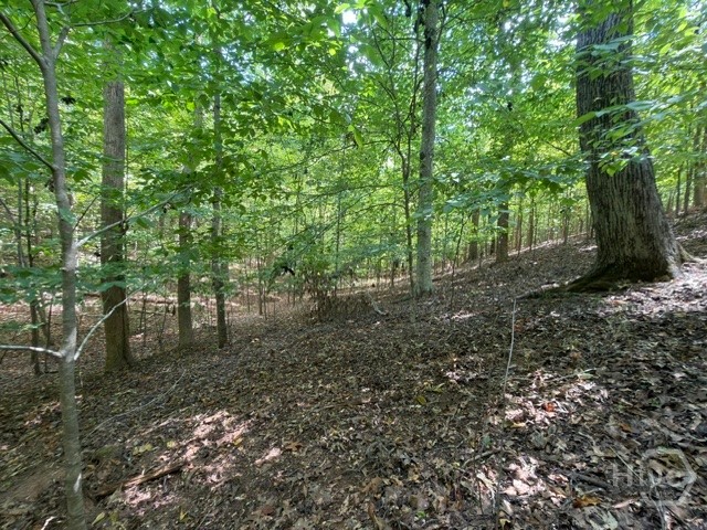 Lot 1643 Cranberry Lane Property Photo 8