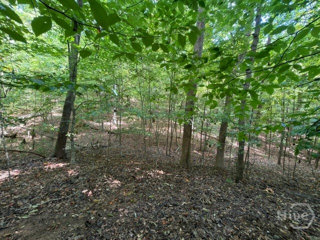Lot 1643 Cranberry Lane Property Photo 9