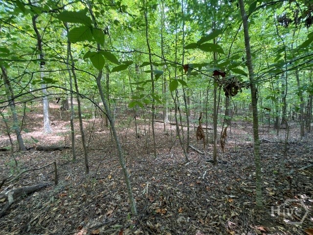 Lot 1643 Cranberry Lane Property Photo 10