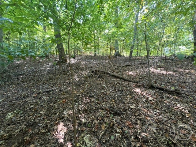 Lot 1643 Cranberry Lane Property Photo 11