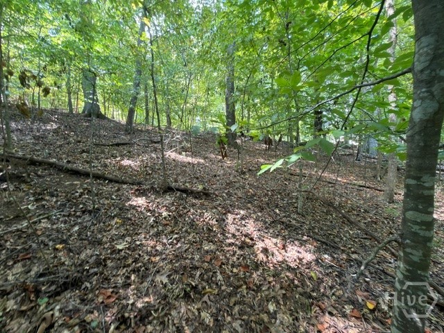 Lot 1643 Cranberry Lane Property Photo 12