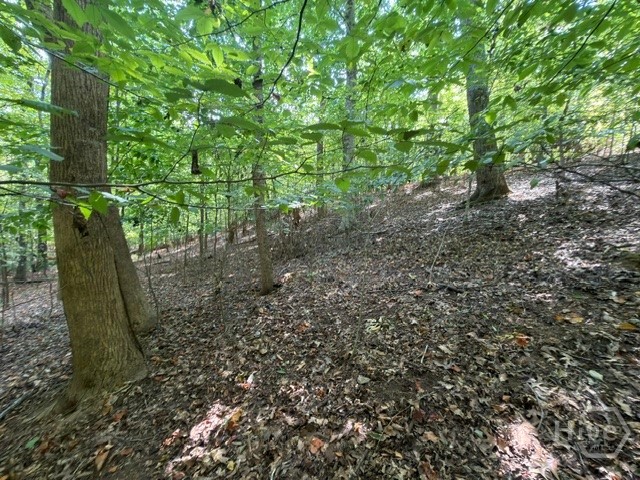 Lot 1643 Cranberry Lane Property Photo 13