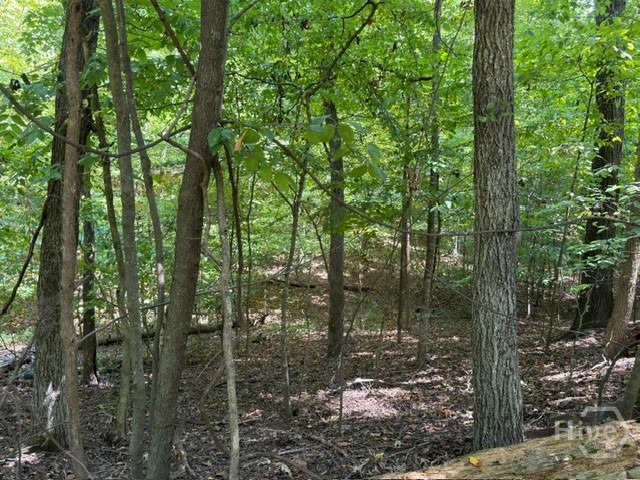 Lot 1643 Cranberry Lane Property Photo 14