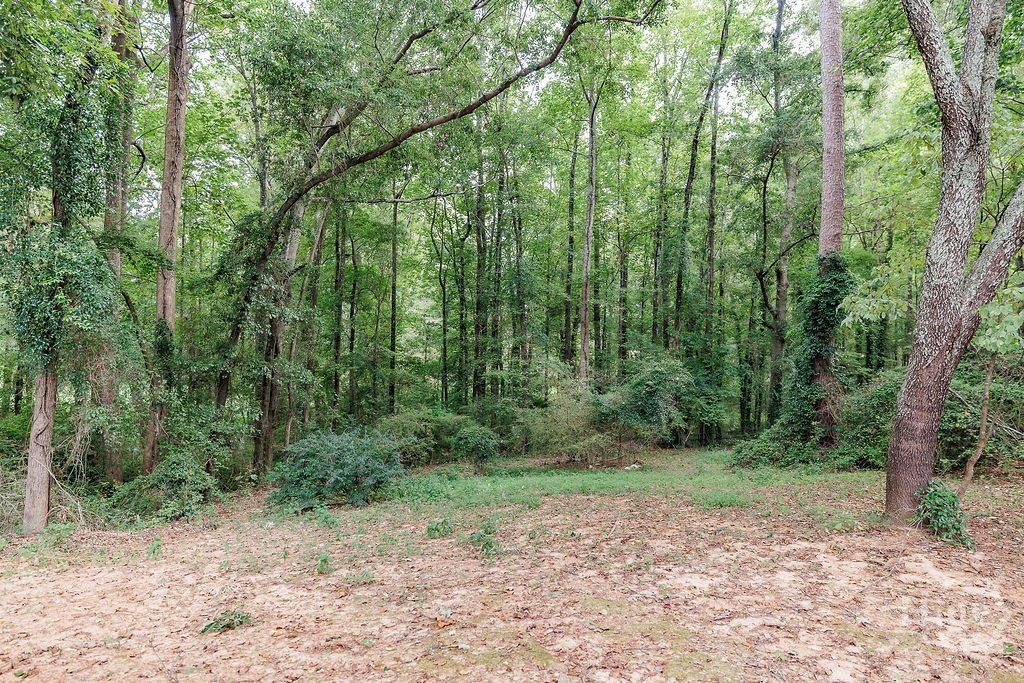 1020 Daniell Court Property Photo 47
