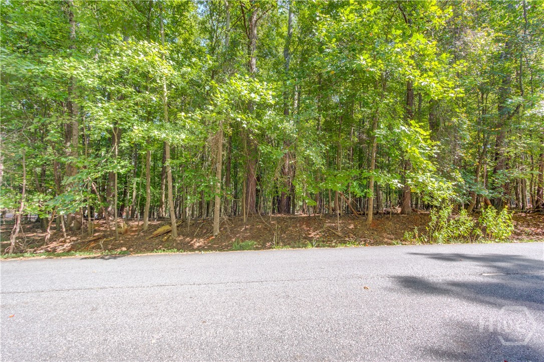 211 Buck Trail Property Photo 2