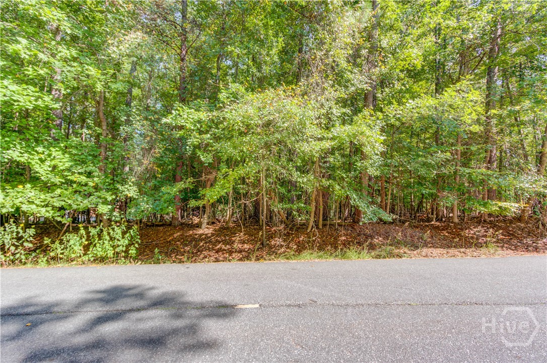 211 Buck Trail Property Photo 3