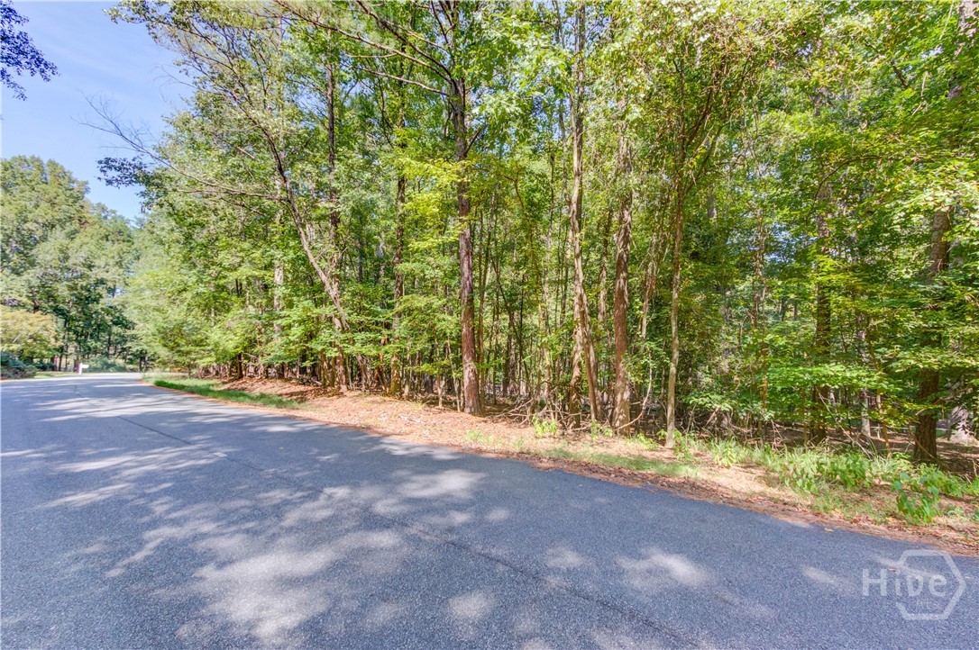 211 Buck Trail Property Photo 5
