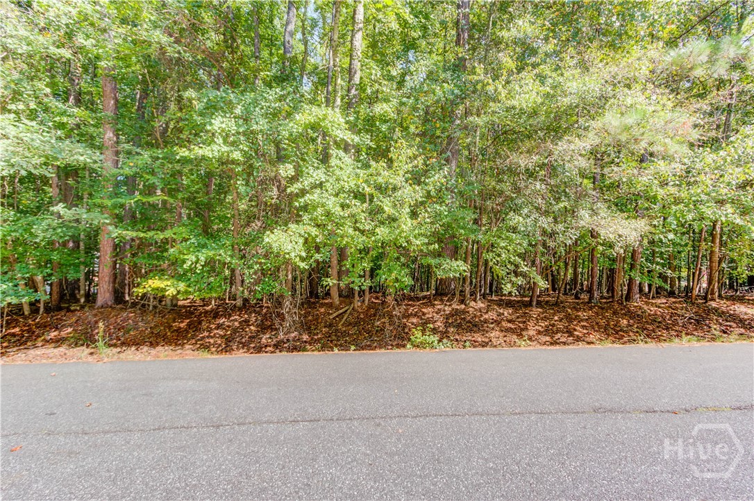 211 Buck Trail Property Photo 6