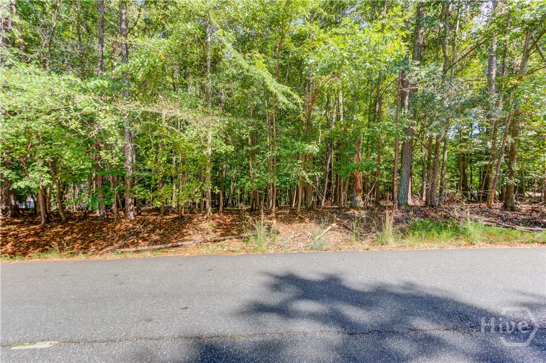 211 Buck Trail Property Photo 7