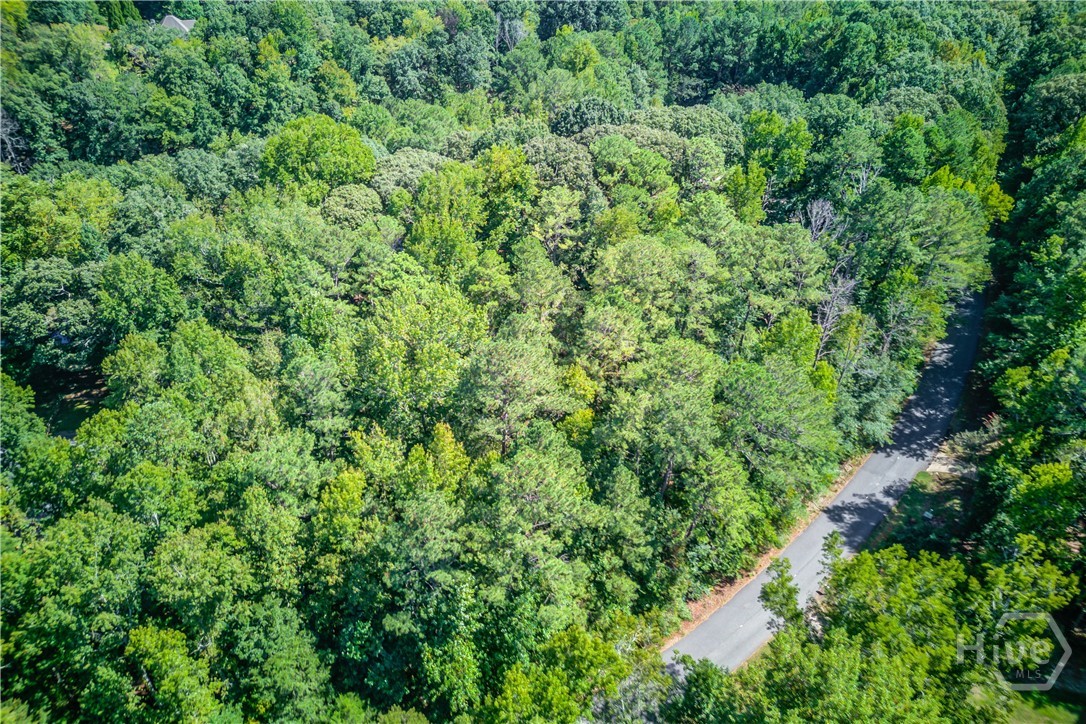211 Buck Trail Property Photo 8