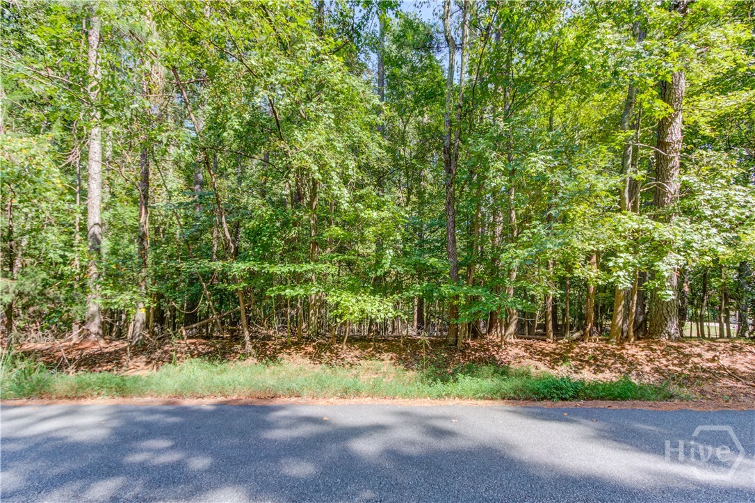 211 Buck Trail Property Photo 10