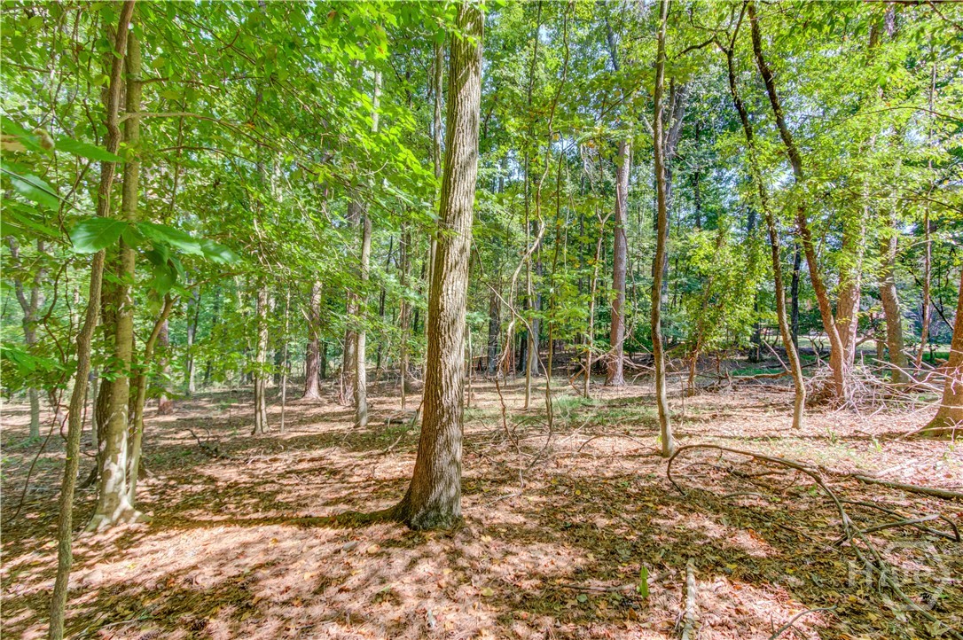 211 Buck Trail Property Photo 11