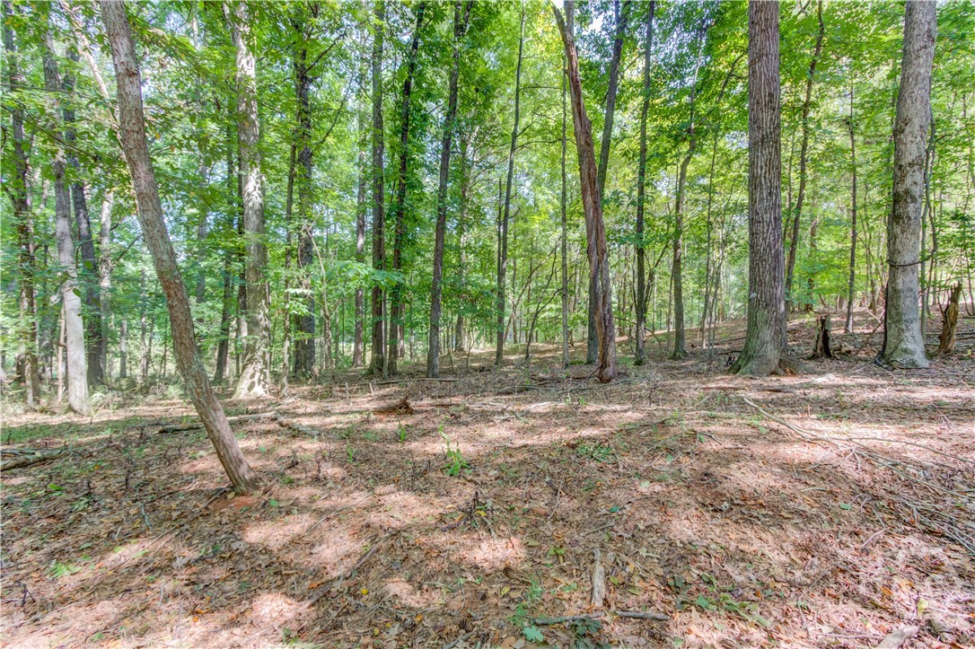 211 Buck Trail Property Photo 12
