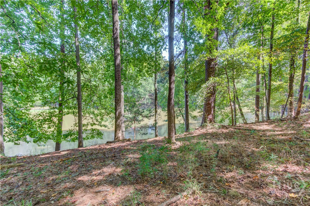 211 Buck Trail Property Photo 13