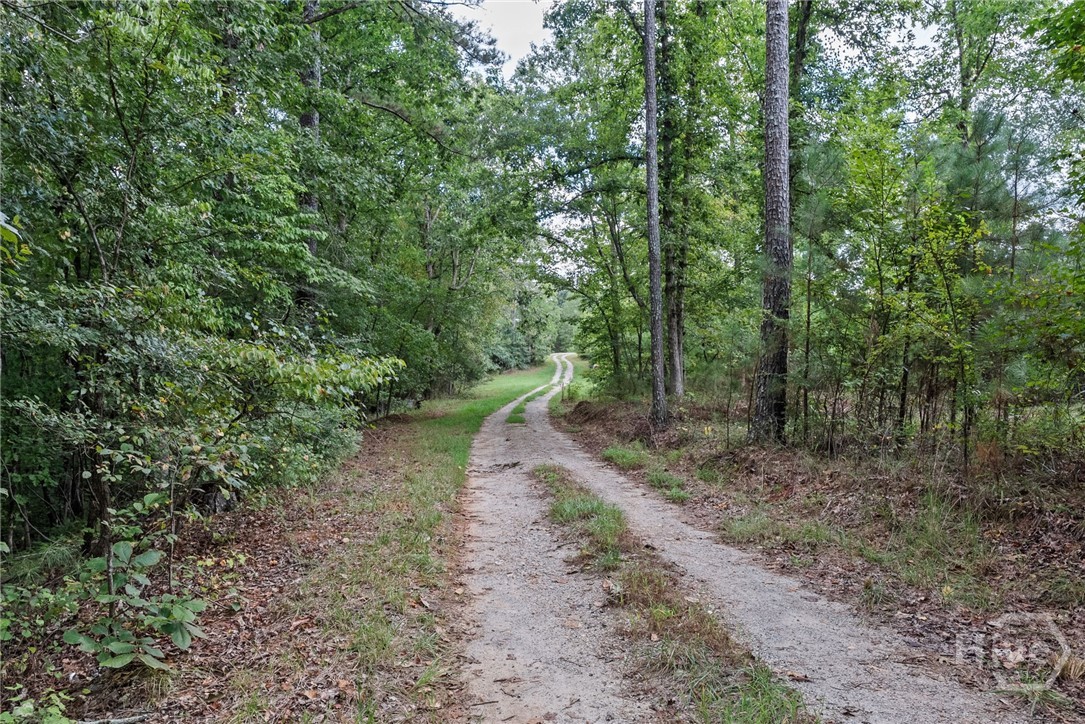 1032 Washington Road Property Photo 3
