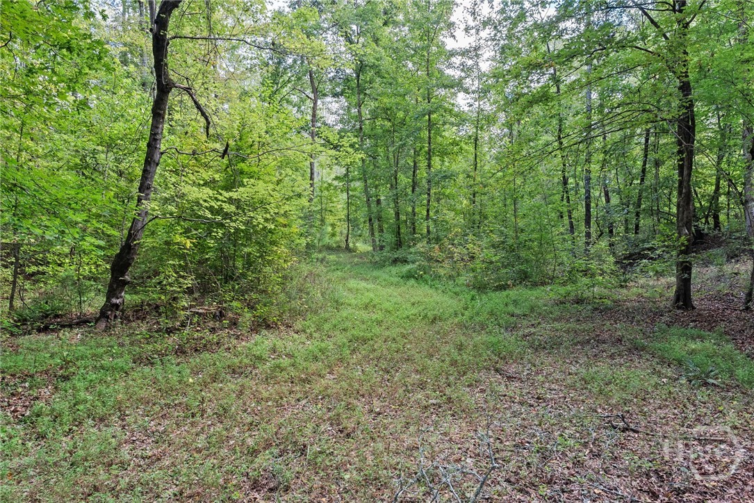 1032 Washington Road Property Photo 13