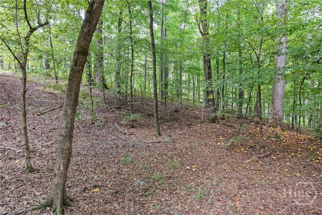 1032 Washington Road Property Photo 14