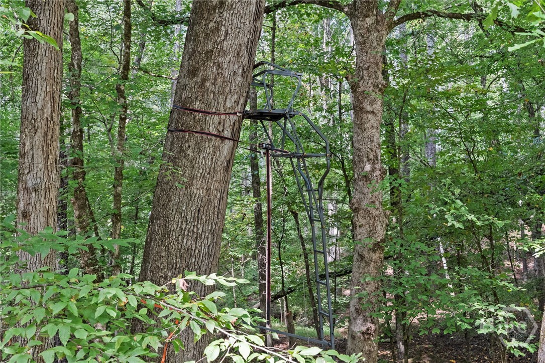 1032 Washington Road Property Photo 15