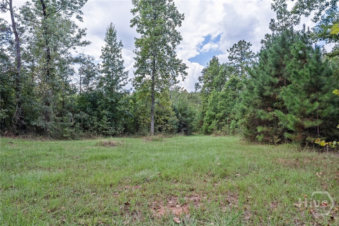 1032 Washington Road Property Photo 16