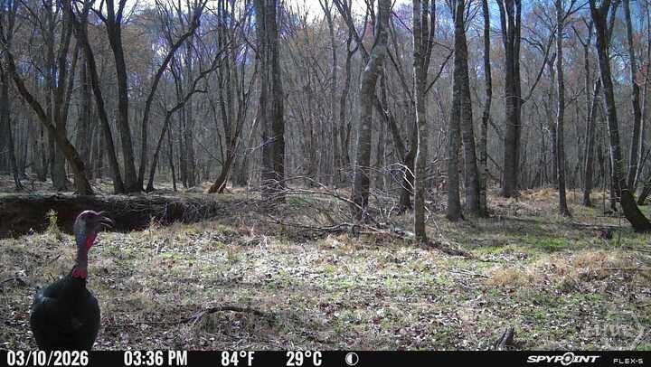 1032 Washington Road Property Photo 19