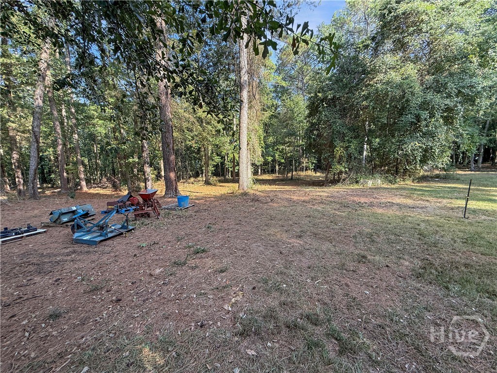 161 Lanier Lane Property Photo 44