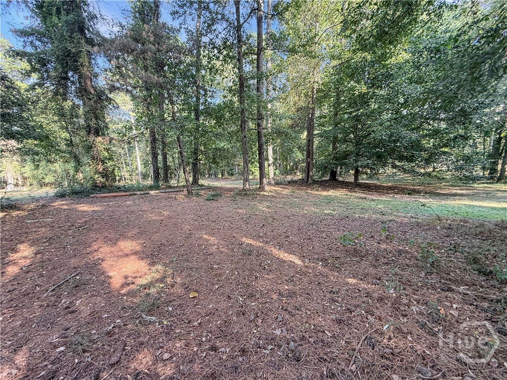 161 Lanier Lane Property Photo 46