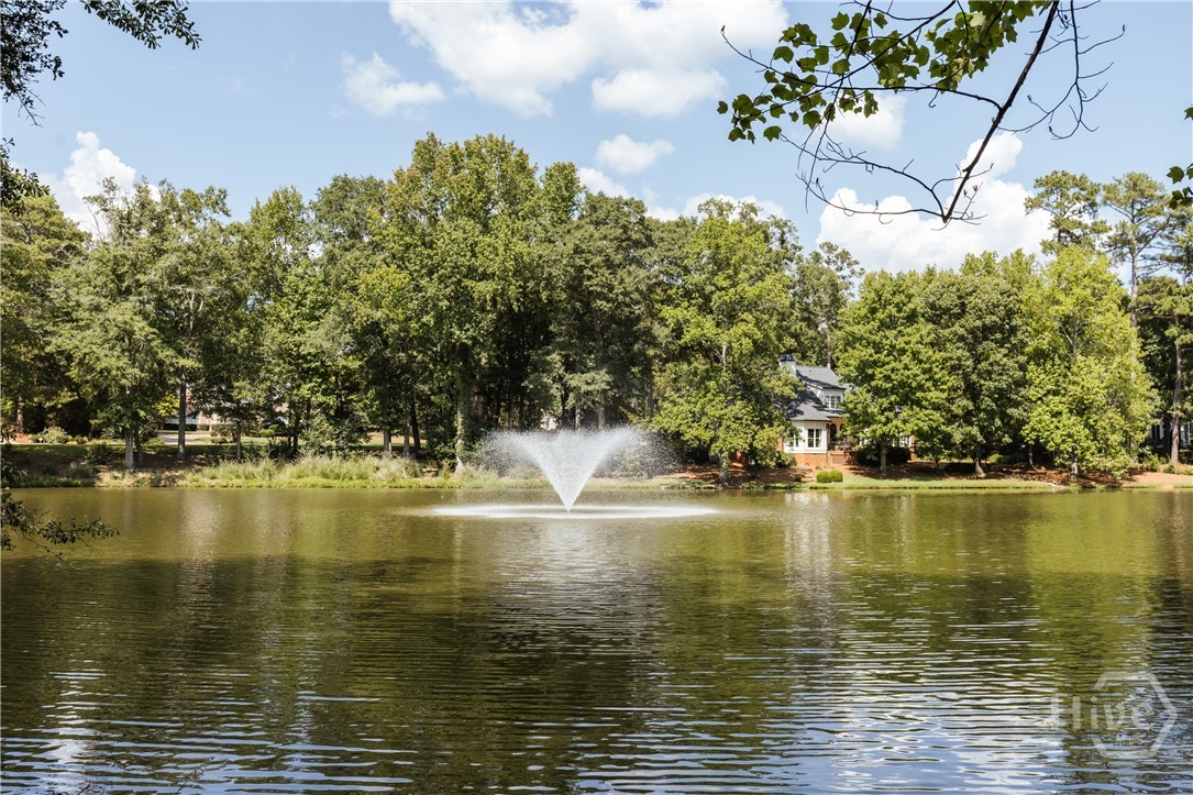 1031 Millers Lake Drive Property Photo 60