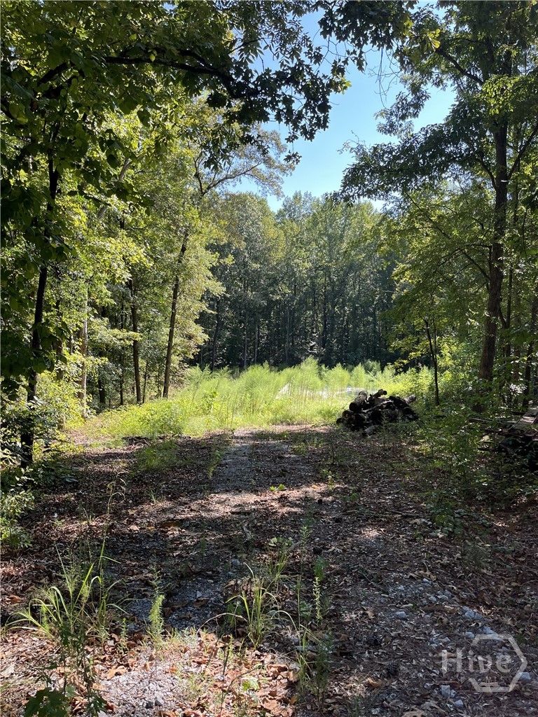 46 Creek Ridge Property Photo 1