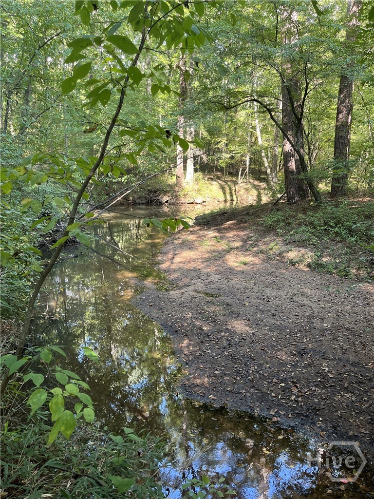 46 Creek Ridge Property Photo 2